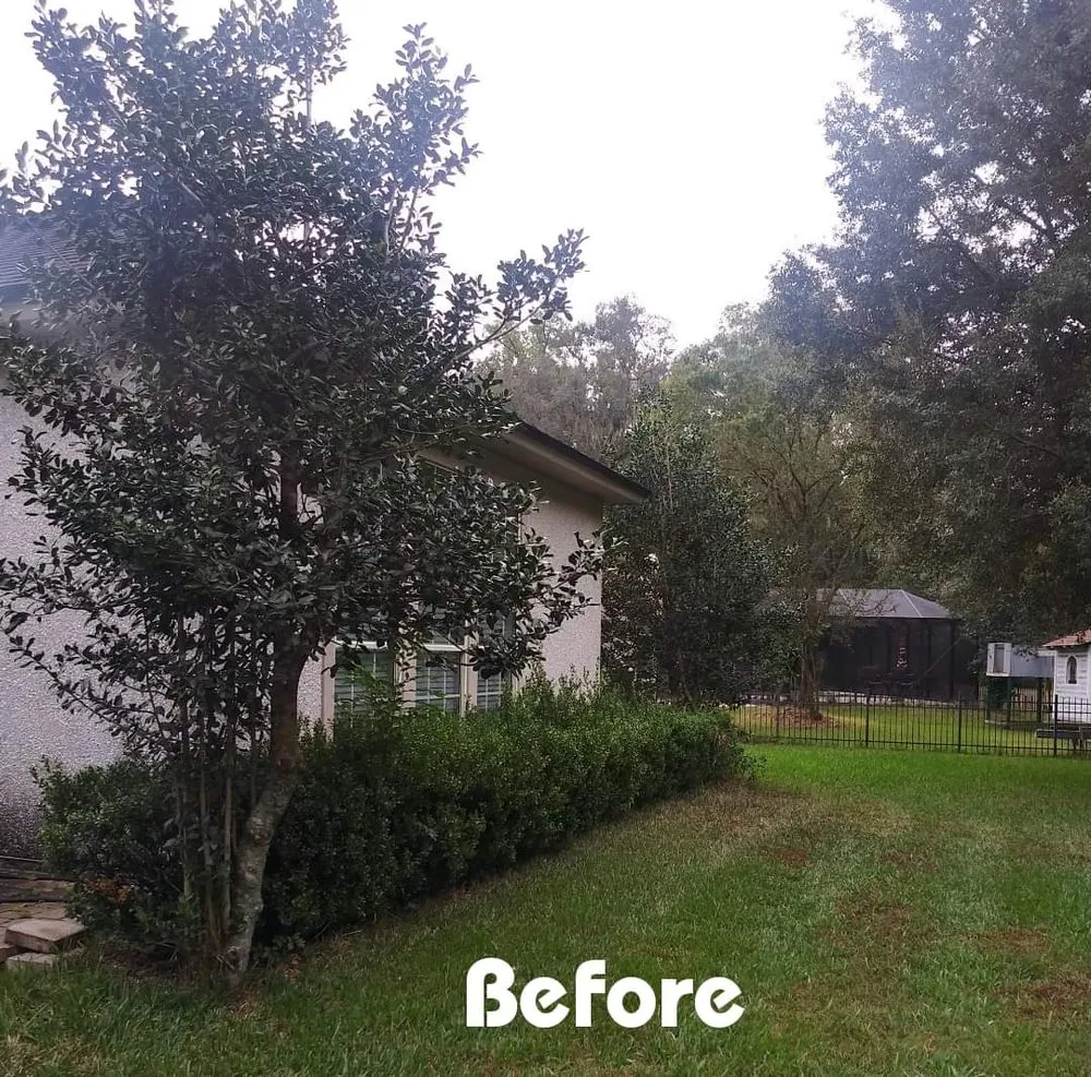 Affordable landscape design for homes in Jacksonville, FL by HMV Landscaping