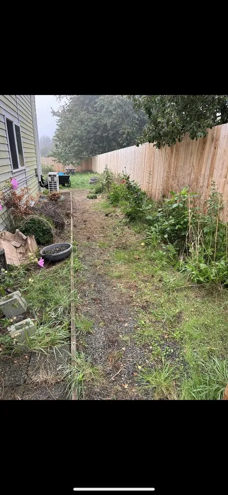 Trusted yard cleanup service in Sultan, WA by Hmz Landscaping