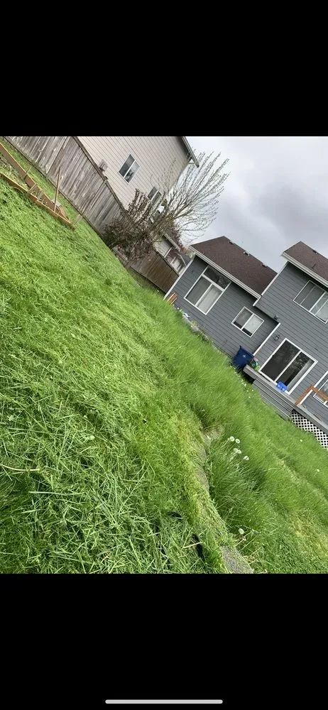 Top-rated lawn care service in Lynnwood, WA by H&N Landscapes