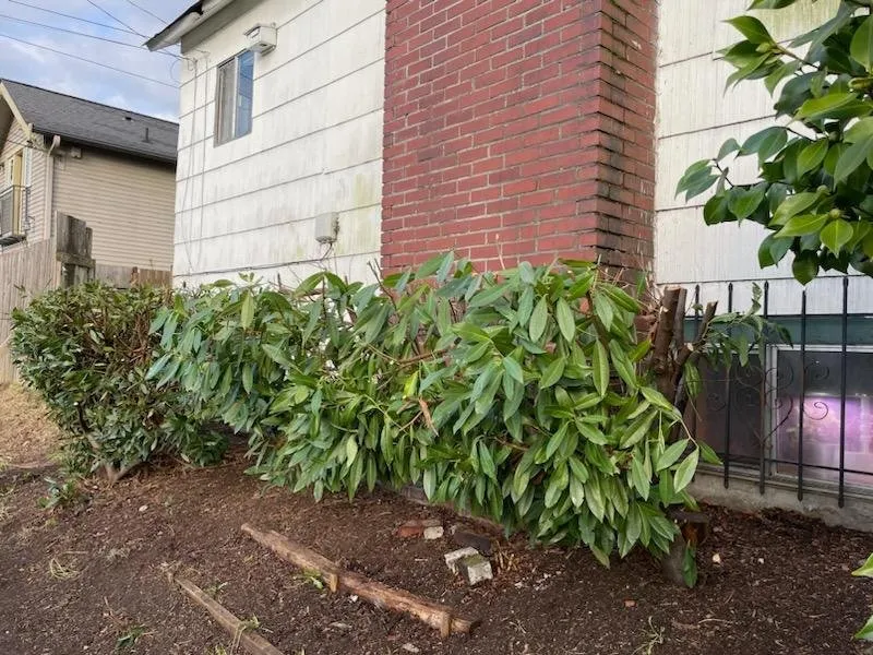 Custom lawn care service for beautiful yards in Lynnwood, WA by H&N Landscapes