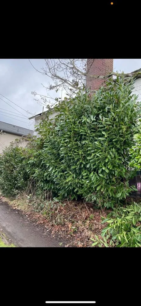 Trusted residential landscaping for outdoor upgrades across Lynnwood, WA - H&N Landscapes