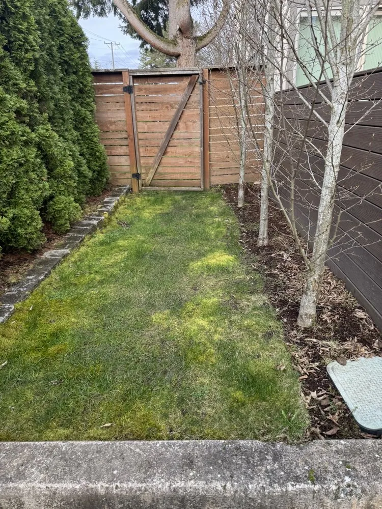 Affordable yard cleanup service for beautiful yards in Tukwila, WA by Hn Landscaping