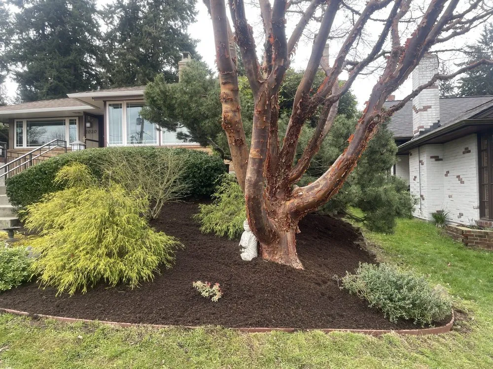 Local landscape installation in Tukwila, WA by Hn Landscaping