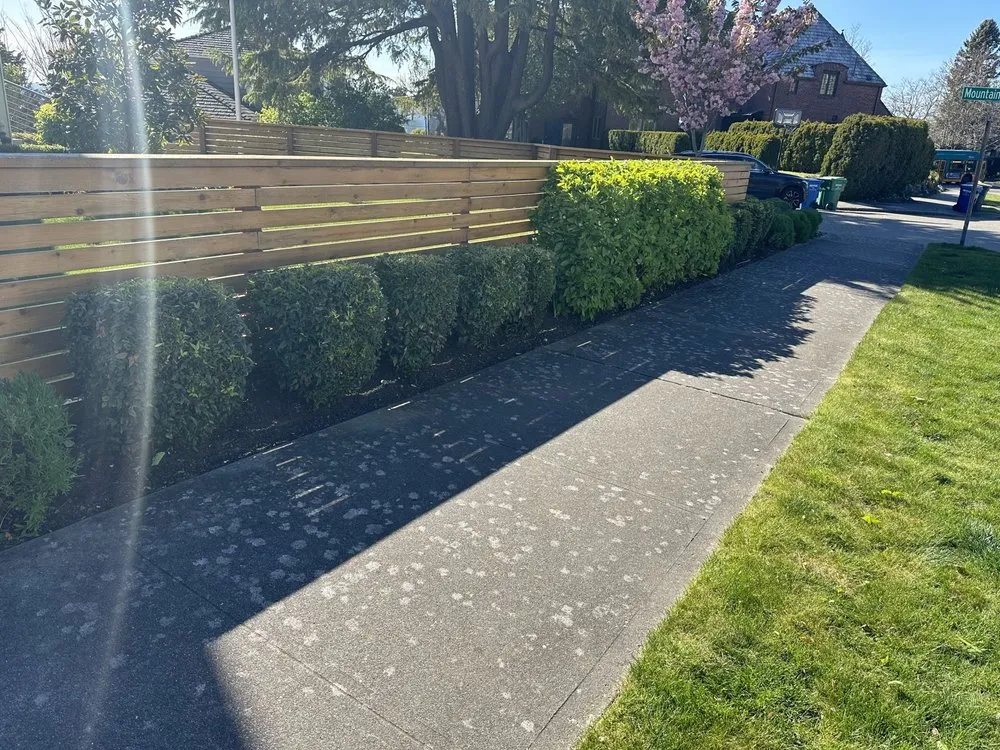 Reliable residential landscaping for year-round maintenance across Tukwila, WA - Hn Landscaping