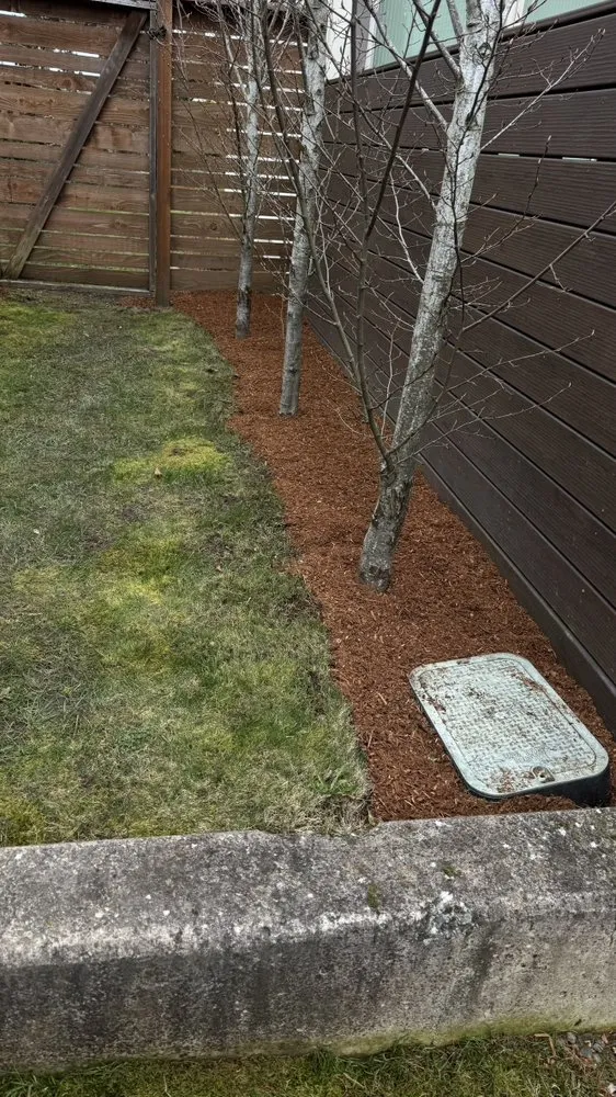 Trusted lawn care service in Tukwila, WA - Hn Landscaping