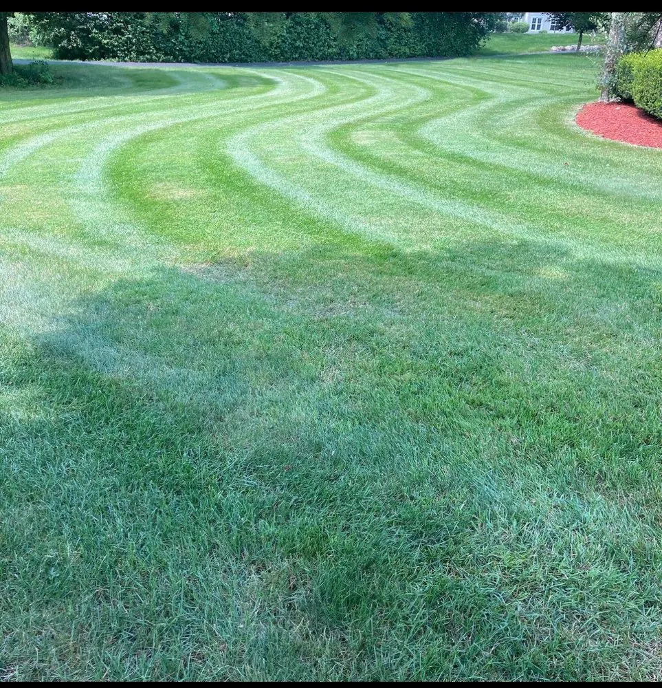 Professional residential landscaping in Lincoln Park, MI - HN Lawn Service