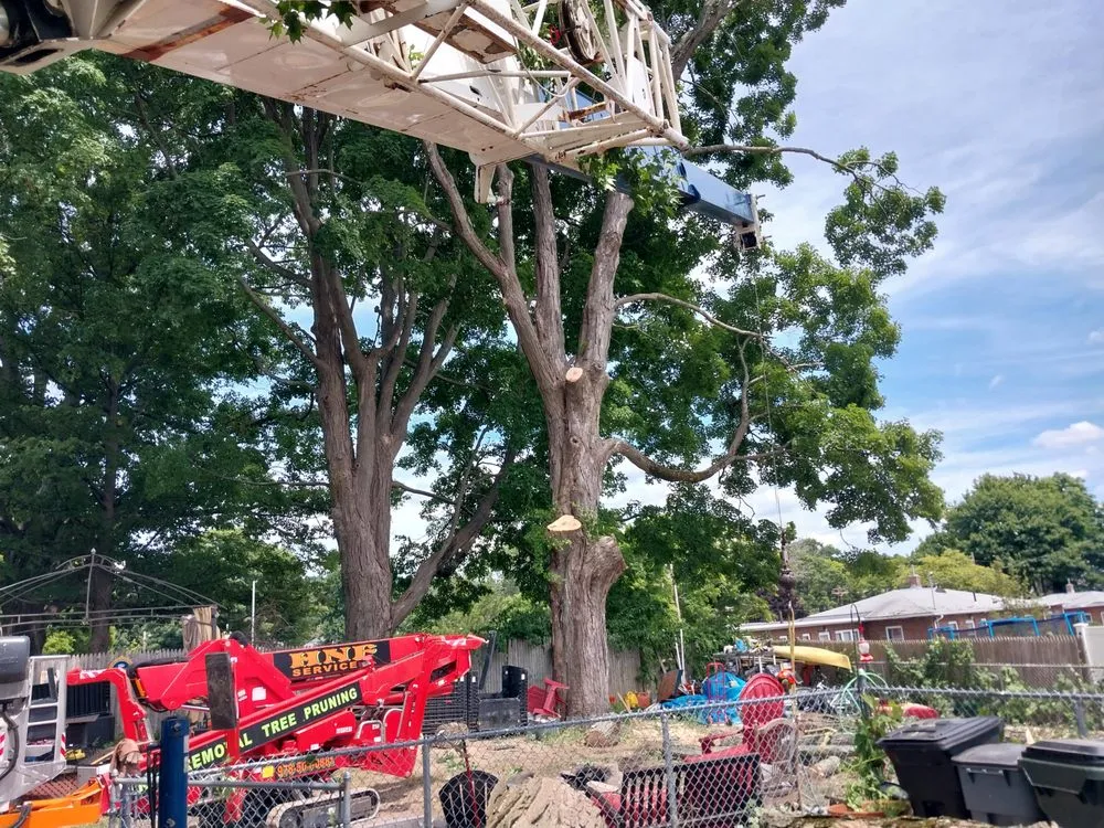 Custom residential landscaping for year-round maintenance across Merrimac, MA - HNF Service