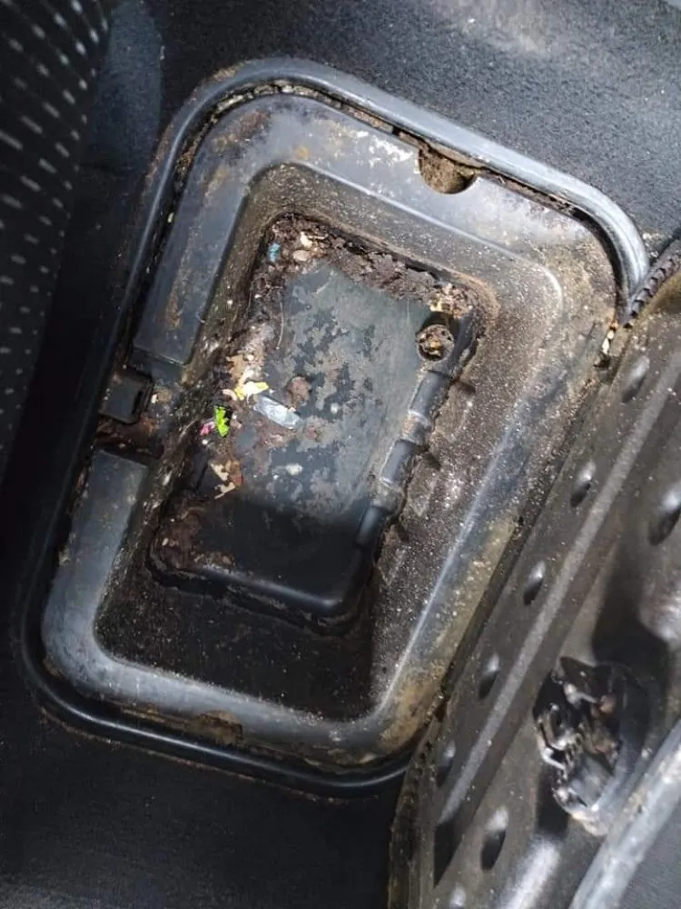 Top-rated yard maintenance in Columbus, OH - HNH Landscaping