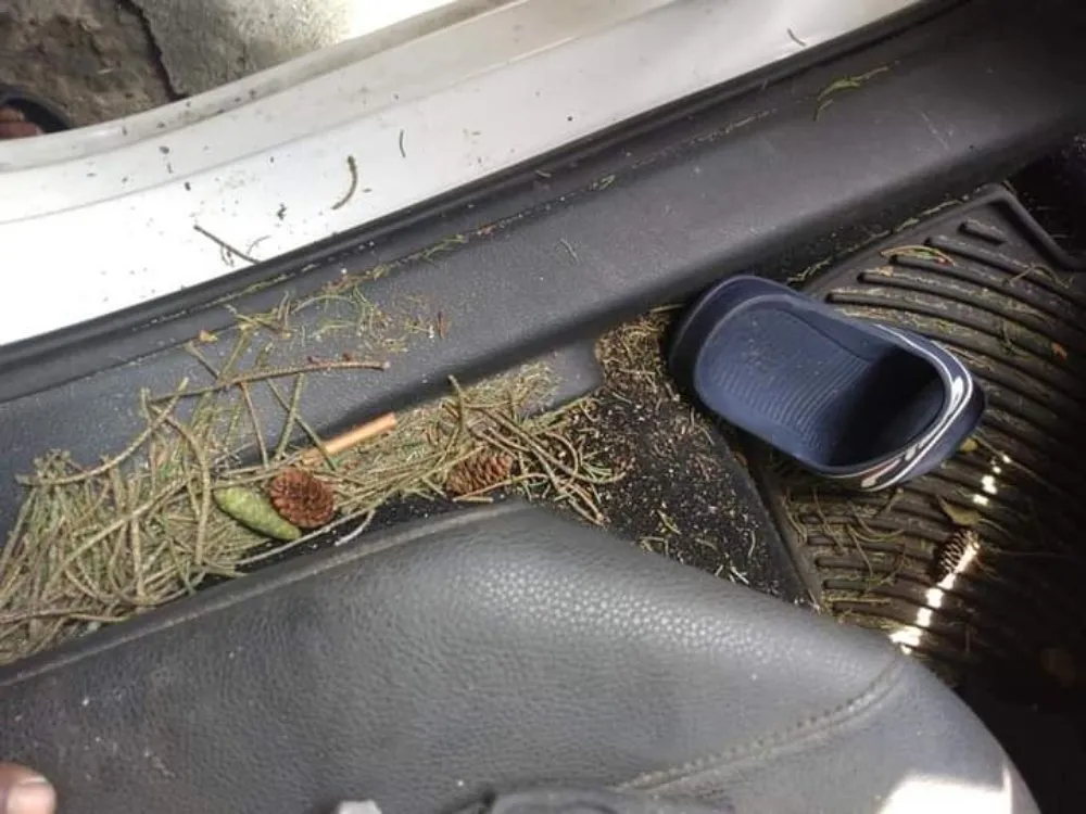 Expert yard cleanup service for residential properties across Columbus, OH - HNH Landscaping