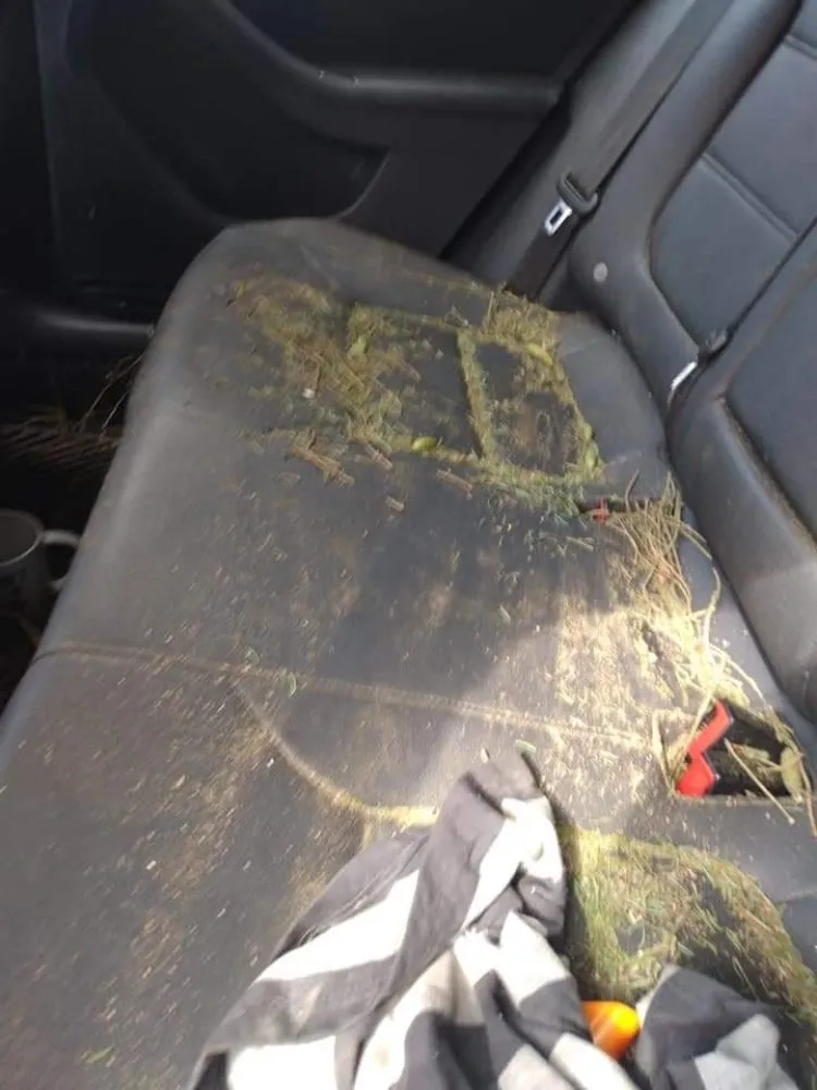 Affordable lawn mowing service in Columbus, OH - HNH Landscaping