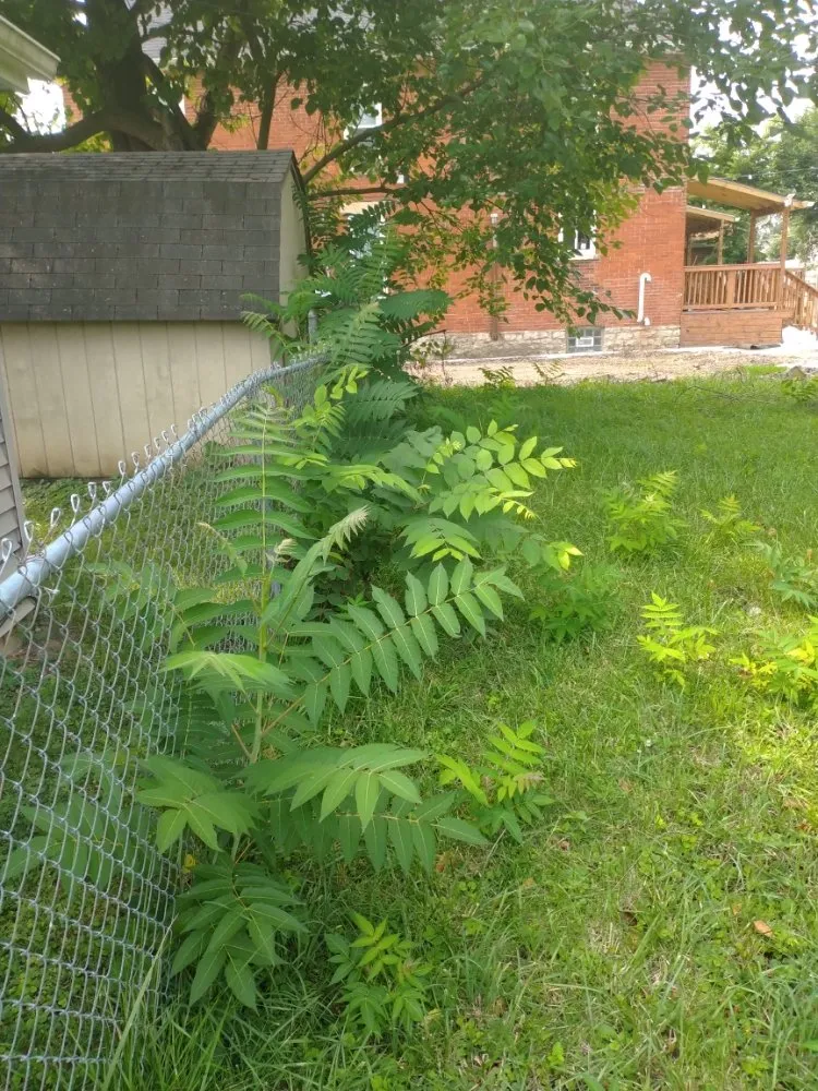 Affordable residential landscaping for beautiful yards across Columbus, OH - HNH Landscaping