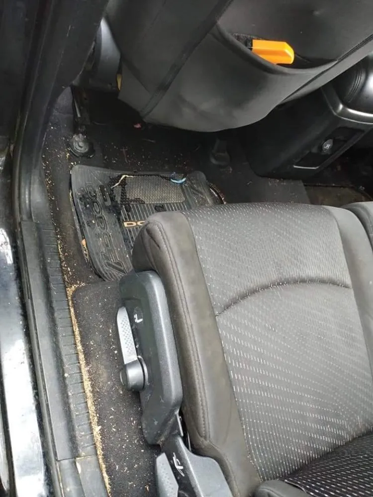 Top-rated outdoor landscaping for residential properties in Columbus, OH by HNH Landscaping