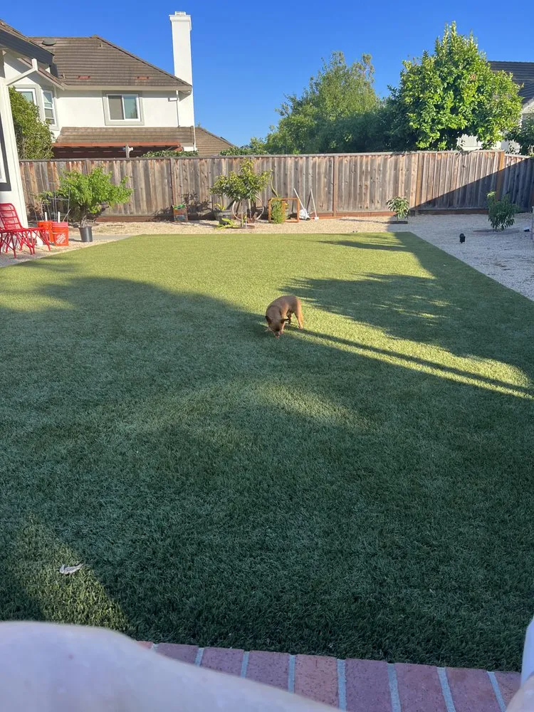 Affordable residential landscaping in Newark, CA - HNP Landscaping