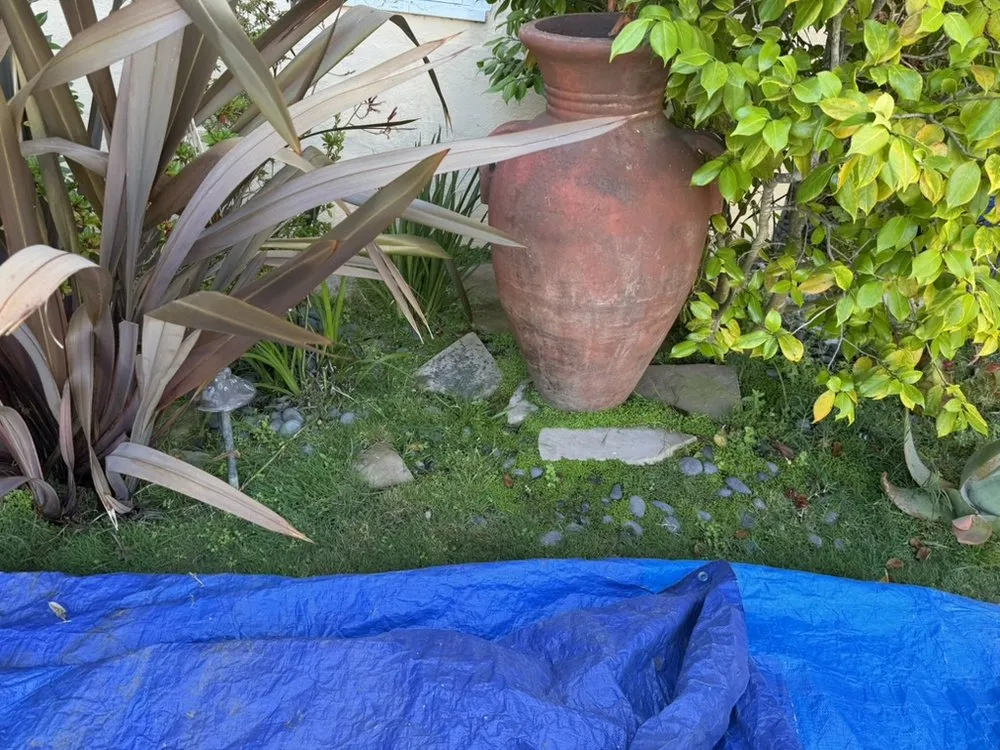 Custom residential landscaping for homes in Newark, CA by HNP Landscaping