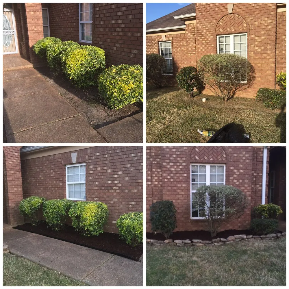 Top-rated landscape design in Memphis, TN by HNS Landscape