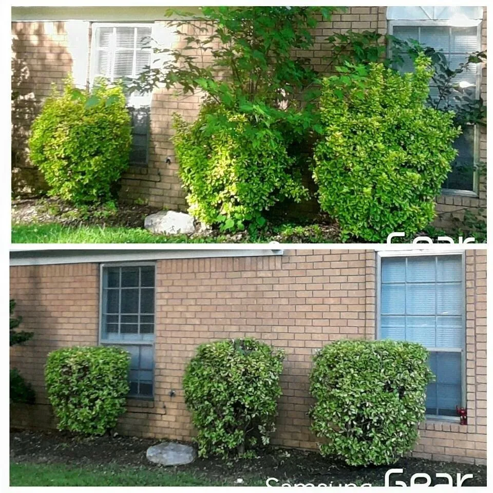 Affordable yard cleanup service in Memphis, TN by HNS Landscape