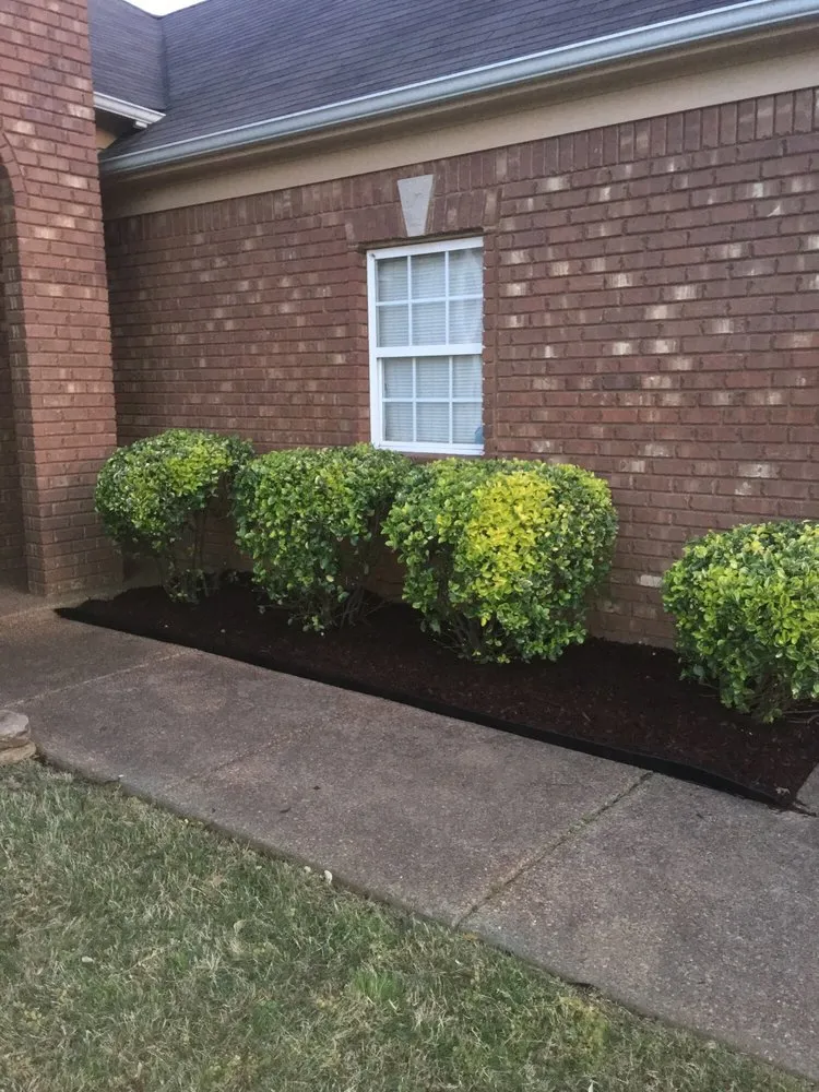 Reliable residential landscaping in Memphis, TN by HNS Landscape