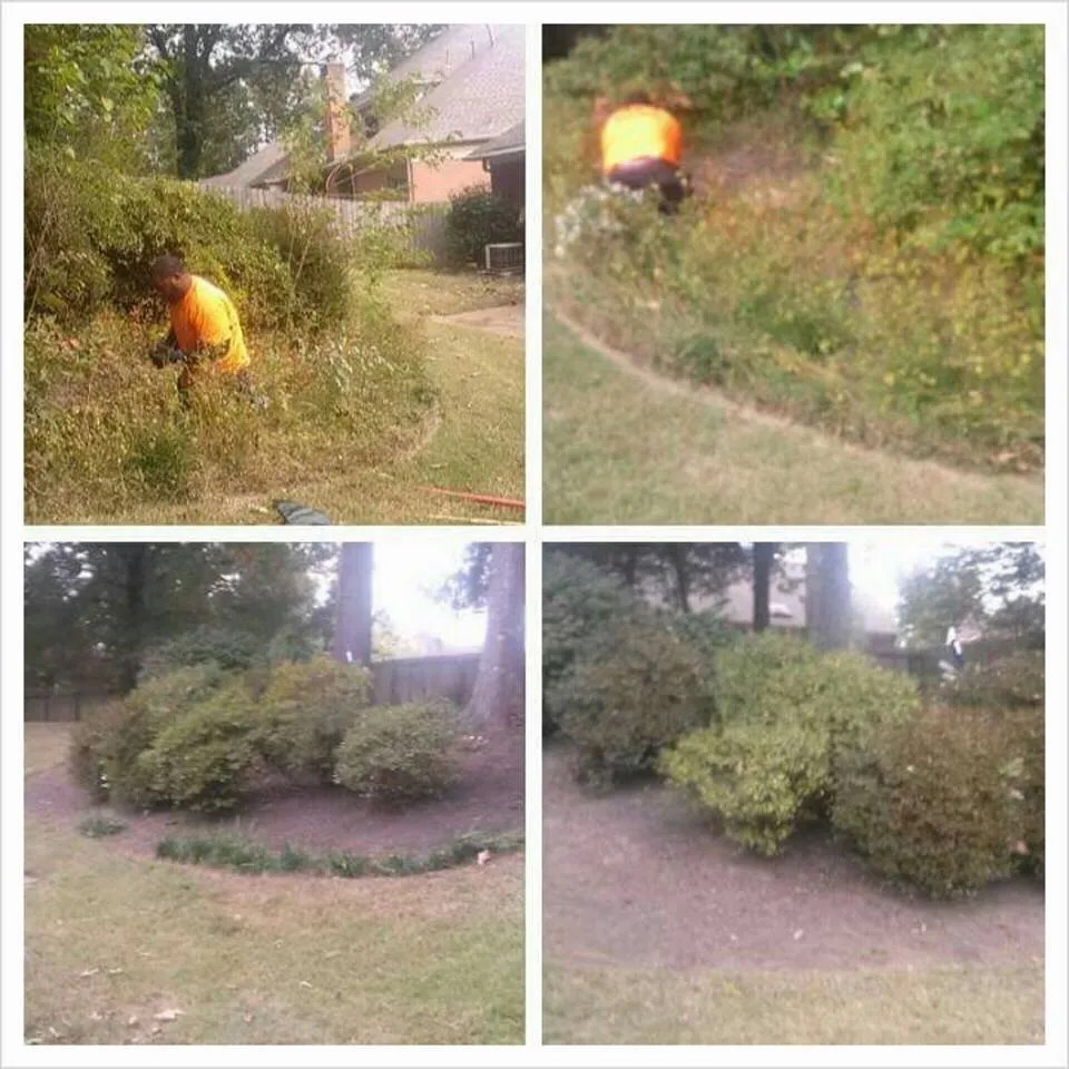 Reliable outdoor landscaping for beautiful yards across Memphis, TN - HNS Landscape