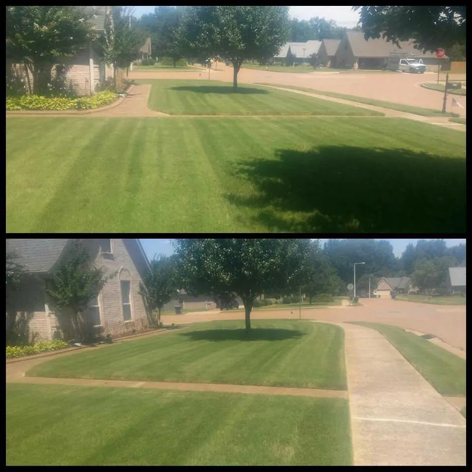 Affordable lawn care service near you across Memphis, TN - HNS Landscape
