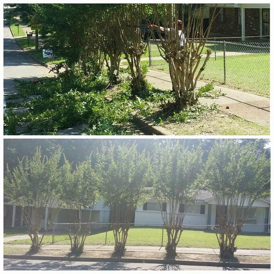 Local landscape design with custom design in Memphis, TN by HNS Landscape