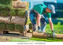 Expert lawn care service for year-round maintenance across Saint Charles, MD - HnS