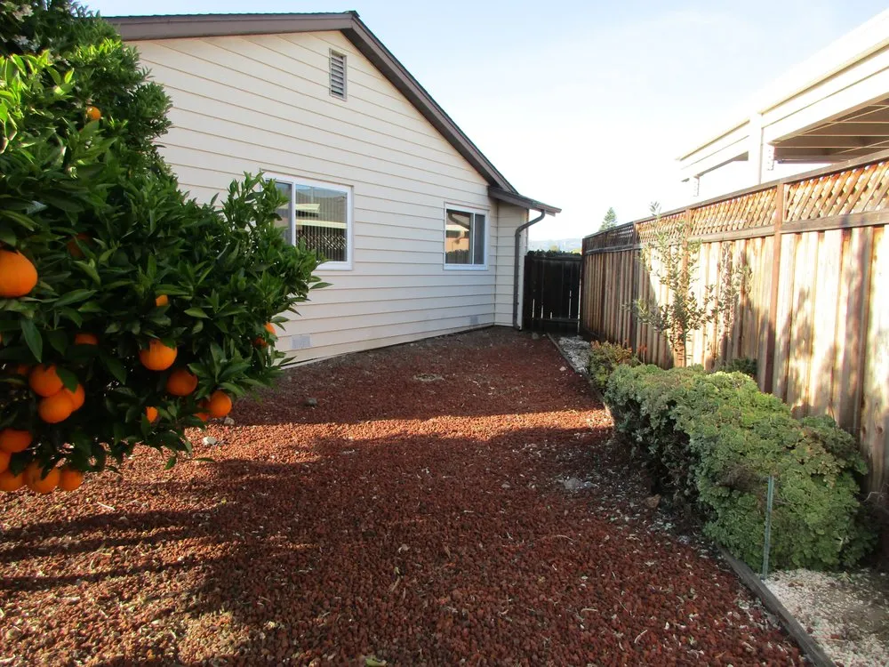 Custom landscaping services in Fremont, CA - Hoang Landscaping & Gardening Service