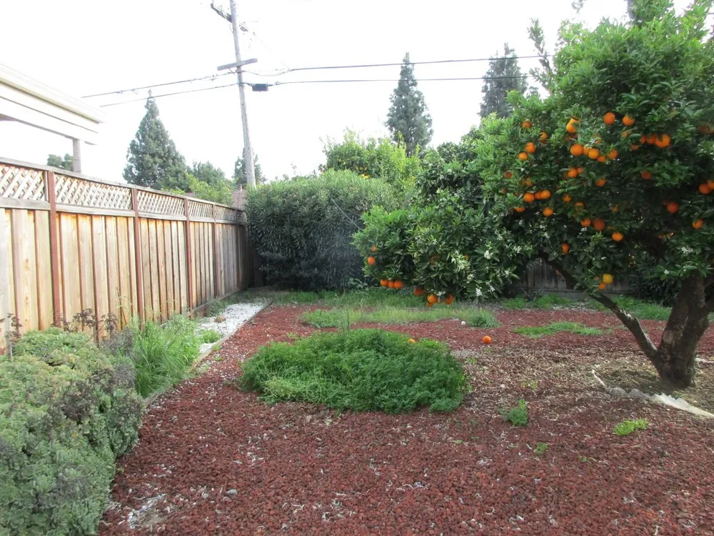 Trusted landscaping services in Fremont, CA by Hoang Landscaping & Gardening Service