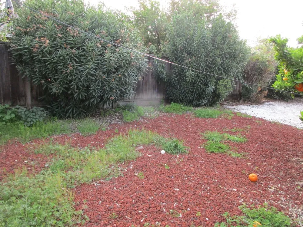 Professional landscape installation in Fremont, CA - Hoang Landscaping & Gardening Service