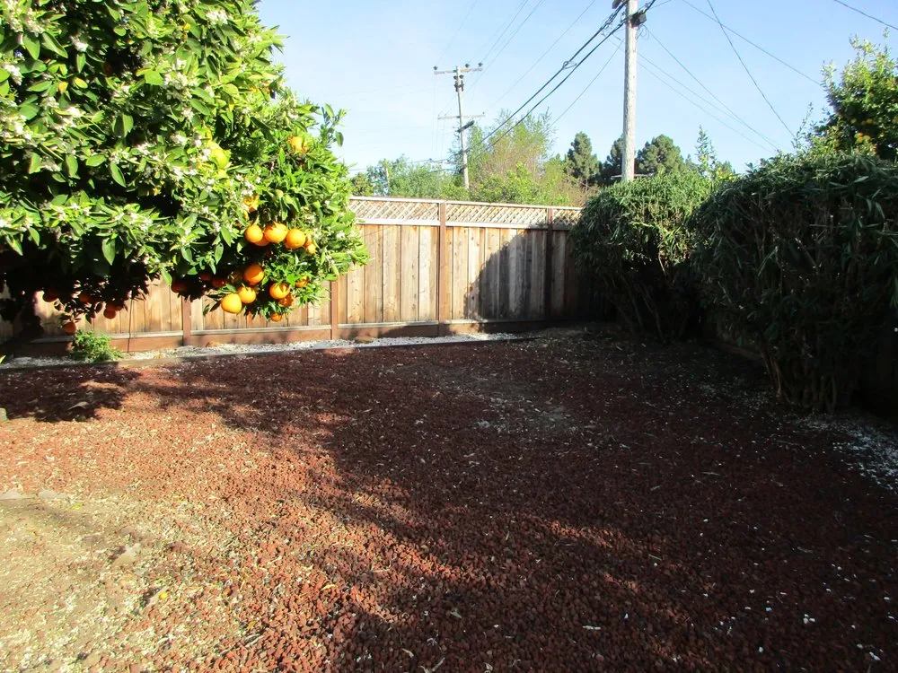 Professional yard cleanup service in Fremont, CA by Hoang Landscaping & Gardening Service