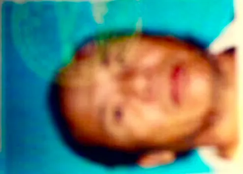 Trusted outdoor landscaping experts serving Hayward, CA - Hoang's Professional Landscaping Services