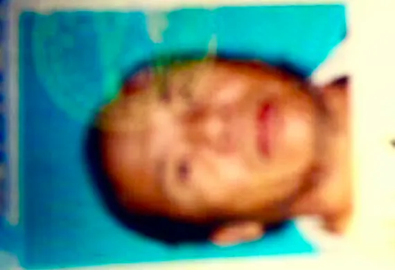 Reliable landscape design in Hayward, CA by Hoang's Professional Landscaping Services