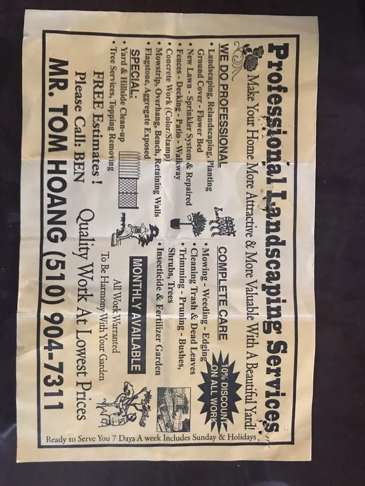 Expert yard cleanup service in Hayward, CA - Hoang's Professional Landscaping Services