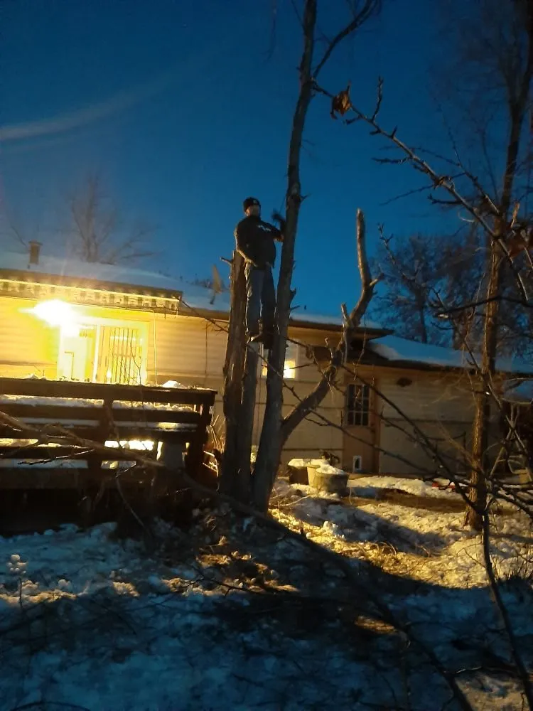 Custom lawn care service for homes across Greeley, CO - Hoarders Removal & Hauling