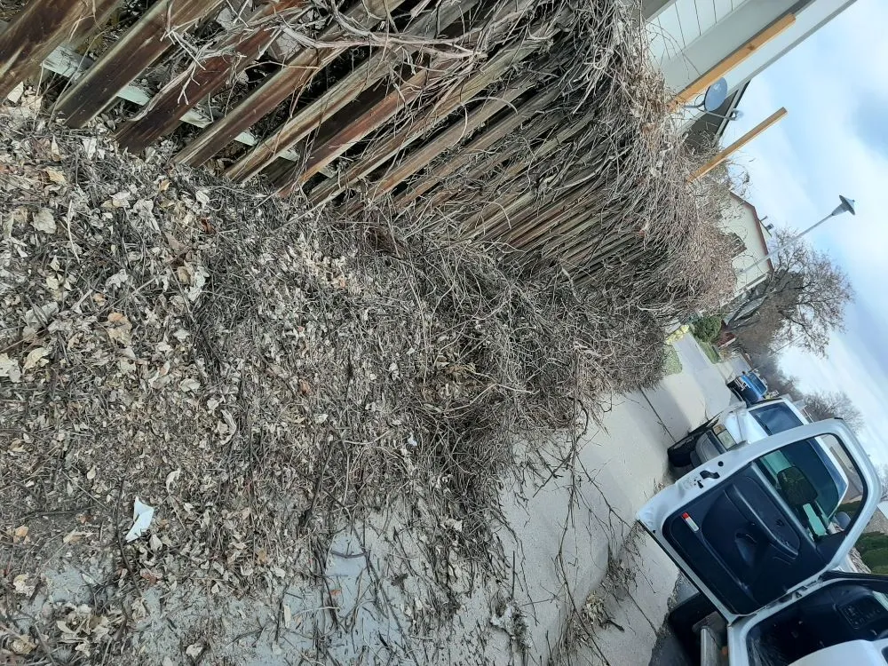 Expert landscaping services in Greeley, CO by Hoarders Removal & Hauling