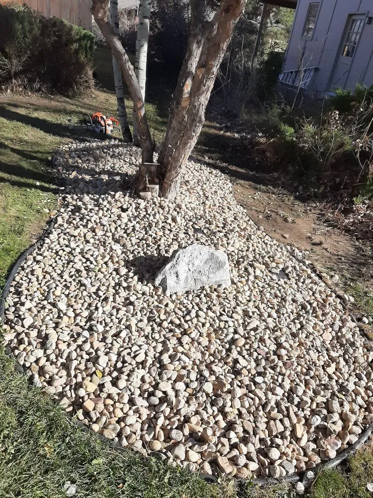 Local yard maintenance in Greeley, CO - Hoarders Removal & Hauling