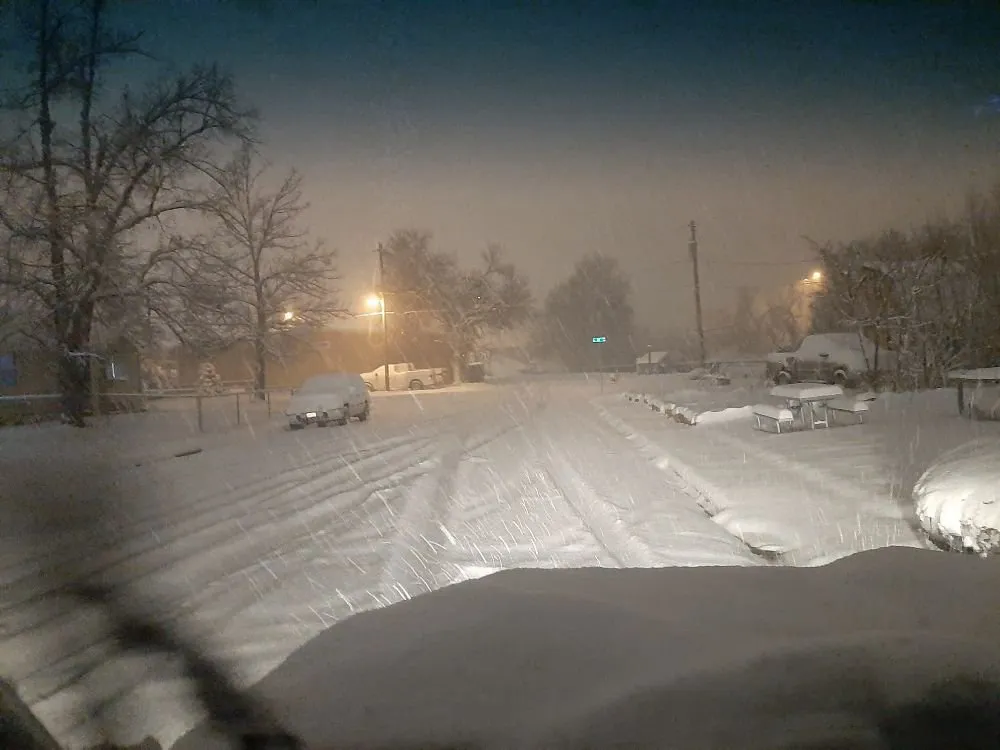 Custom garden landscaping for residential properties in Greeley, CO by Hoarders Removal & Hauling