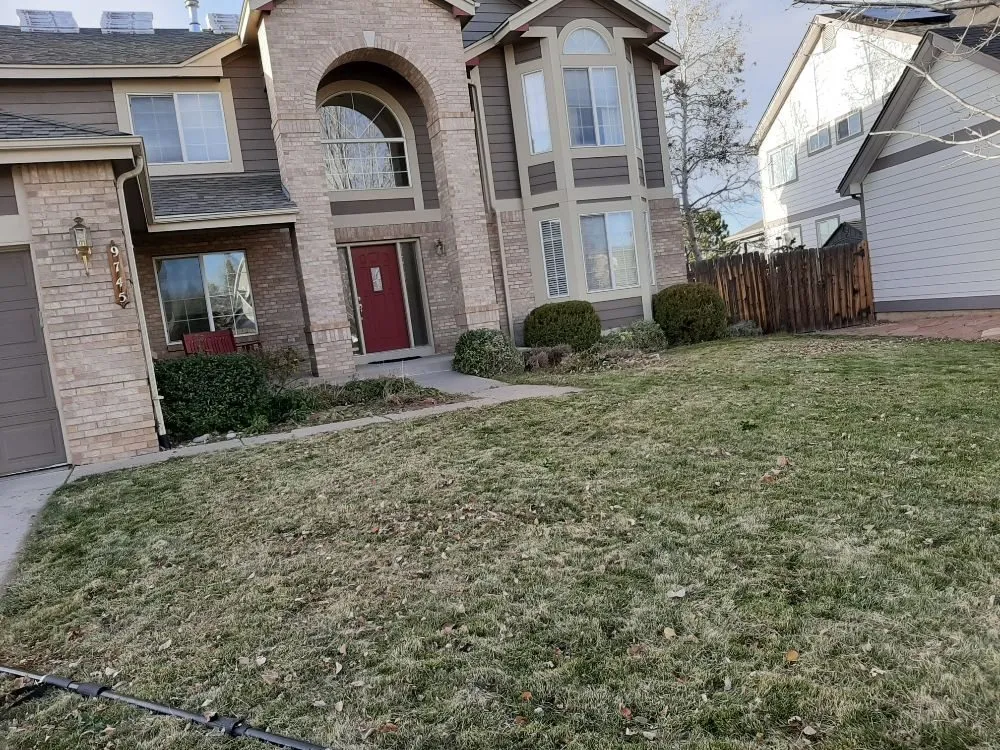 Reliable yard maintenance in Greeley, CO - Hoarders Removal & Hauling