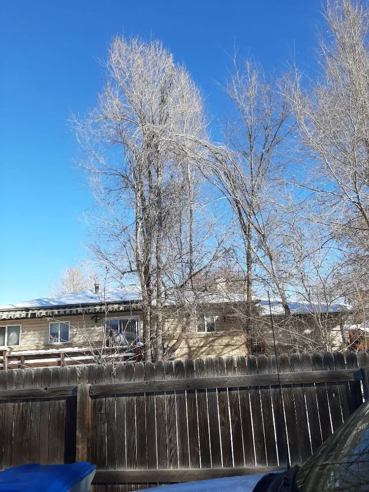 Professional lawn mowing service for year-round maintenance across Greeley, CO - Hoarders Removal & Hauling