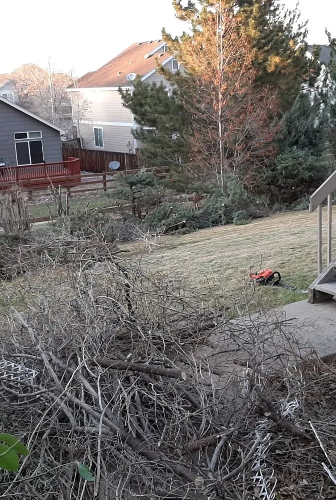 Local lawn mowing service in Greeley, CO by Hoarders Removal & Hauling