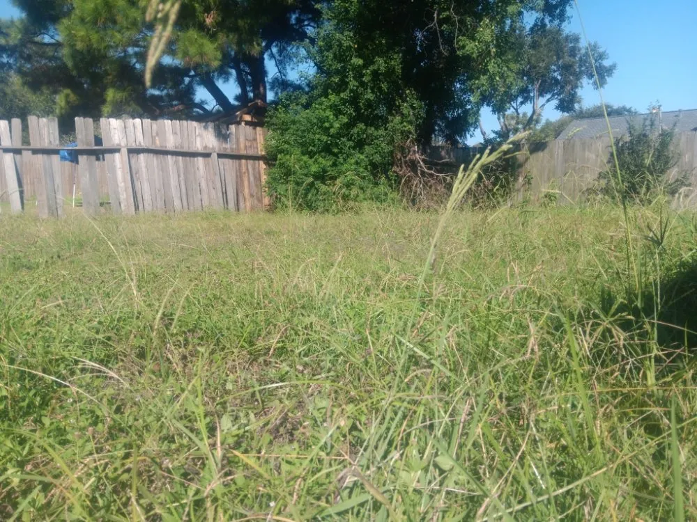 Professional lawn care service experts serving Fulshear, TX - Hoba Lawn & Landscaping