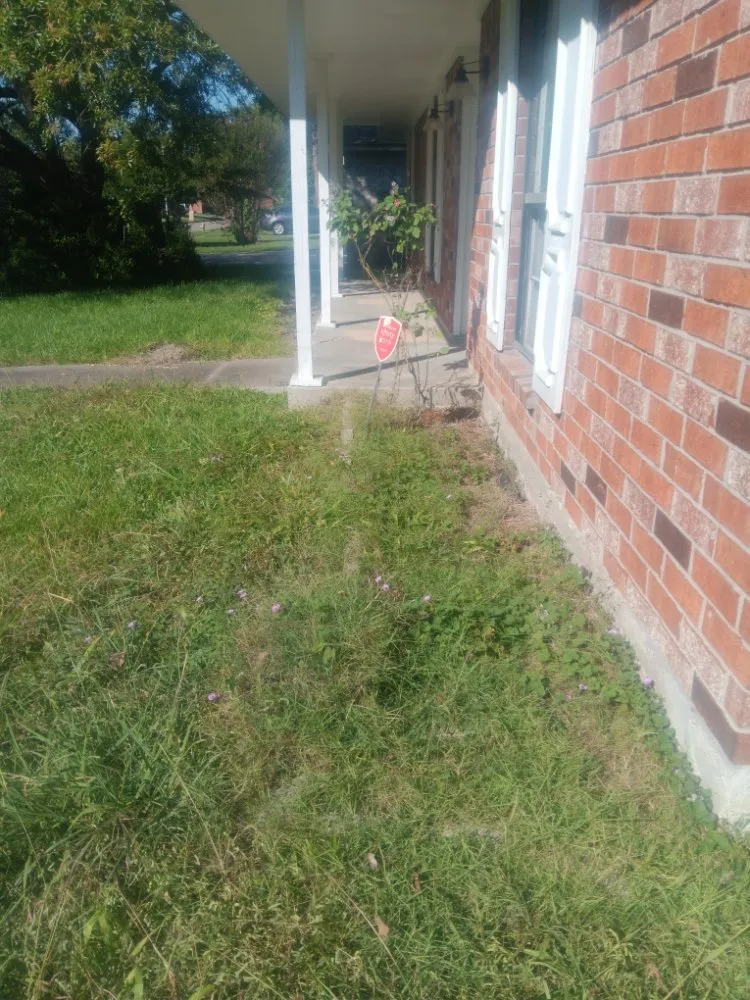 Professional residential landscaping experts serving Fulshear, TX - Hoba Lawn & Landscaping