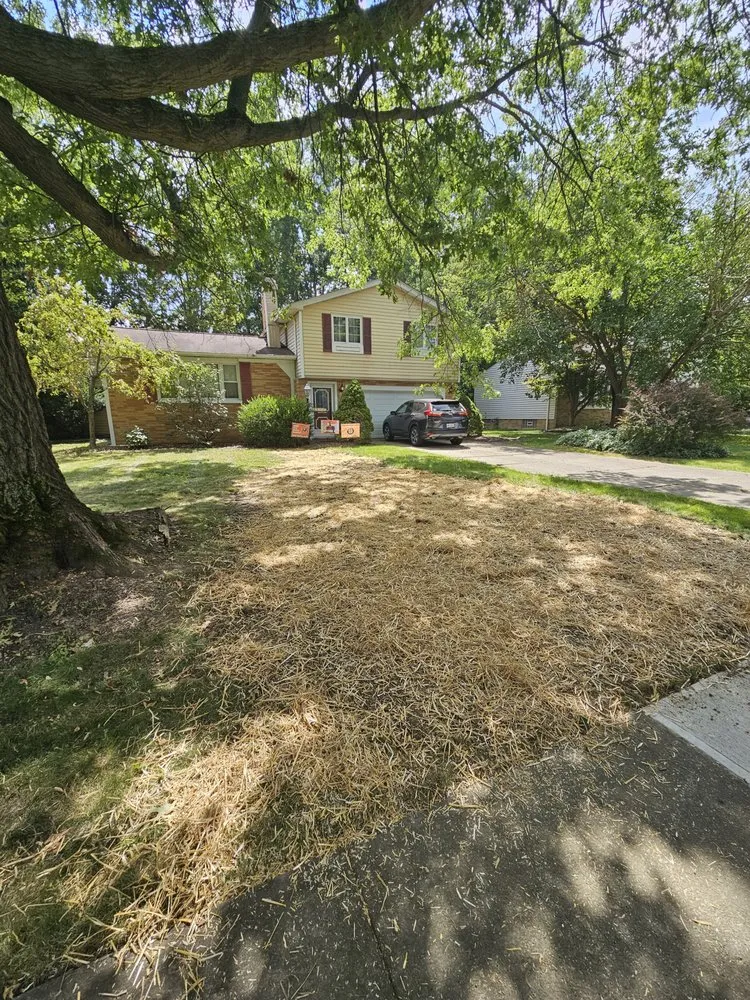 Expert lawn care service in North Olmsted, OH by Hoban Landscaping