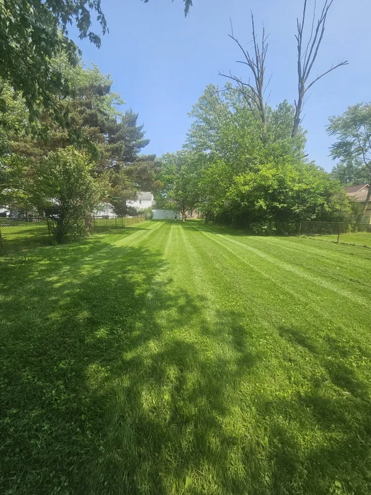Top-rated yard cleanup service near you in North Olmsted, OH by Hoban Landscaping