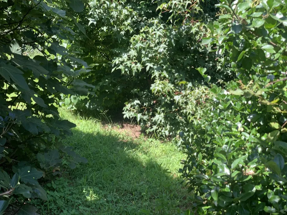 Top-rated garden landscaping in Greenville, SC - Hobart Solutions