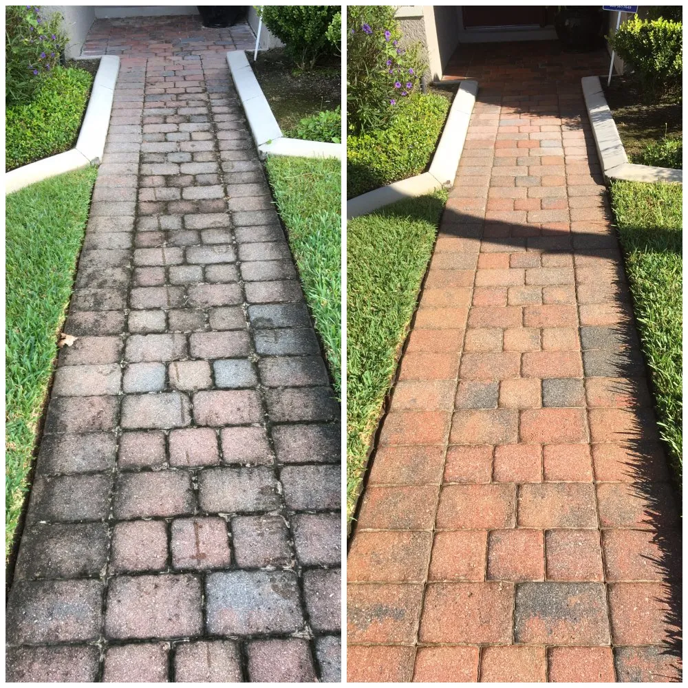 Affordable lawn care service near you in Oviedo, FL by Hobbie Professional Services