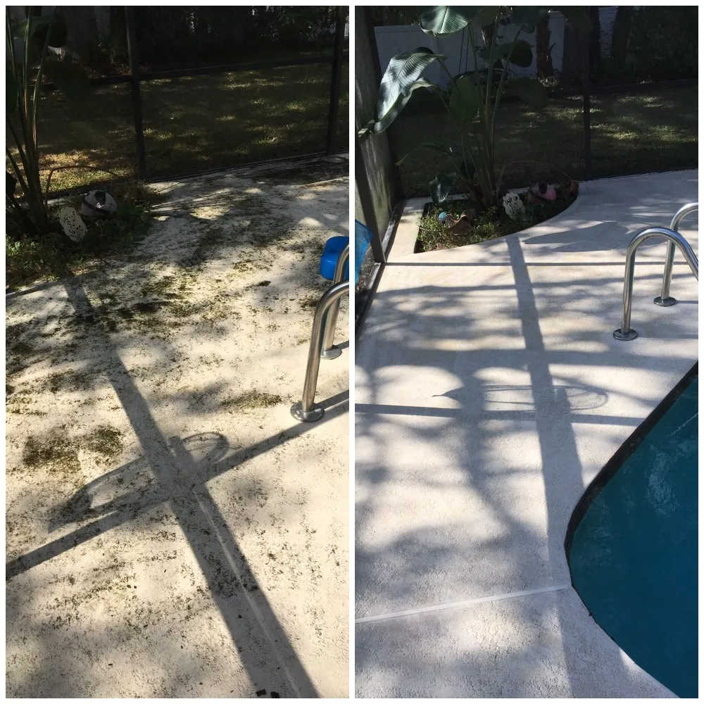 Custom landscaping services in Oviedo, FL by Hobbie Professional Services