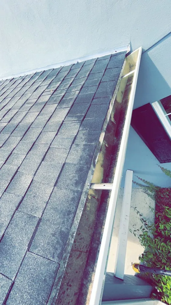 Affordable landscape installation in Bronson, FL - Hobbs Handyman Services & Landscapes