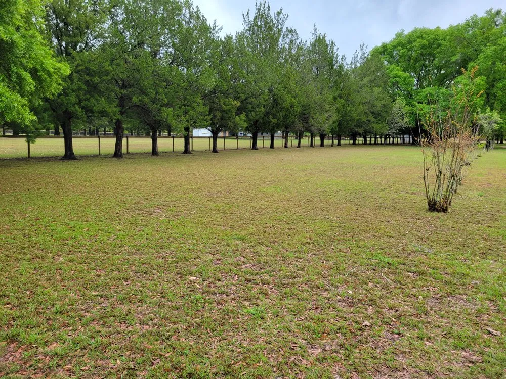 Top-rated outdoor landscaping experts serving Starke, FL - Hobbs Lawn Maintenance And Grooming