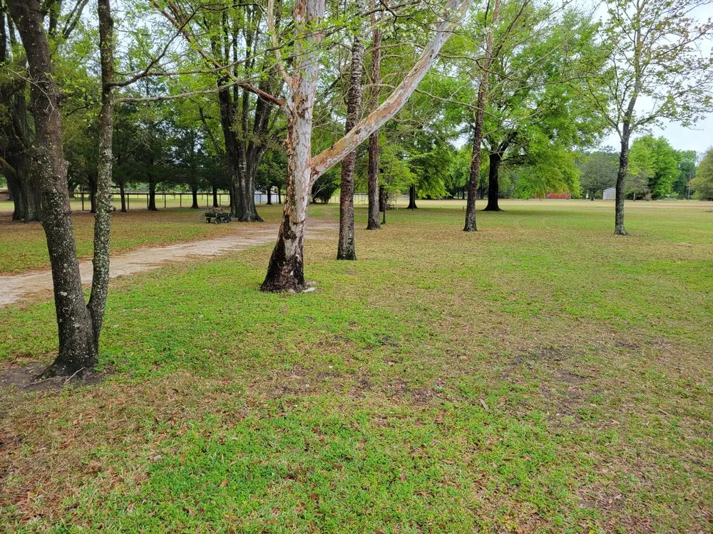 Expert yard maintenance in Starke, FL by Hobbs Lawn Maintenance And Grooming
