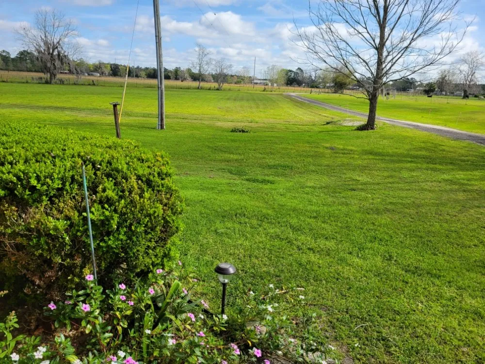 Top-rated yard maintenance in Starke, FL - Hobbs Lawn Maintenance And Grooming
